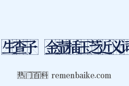 生查子·金壶插玉芝近义词是什么意思的图片
